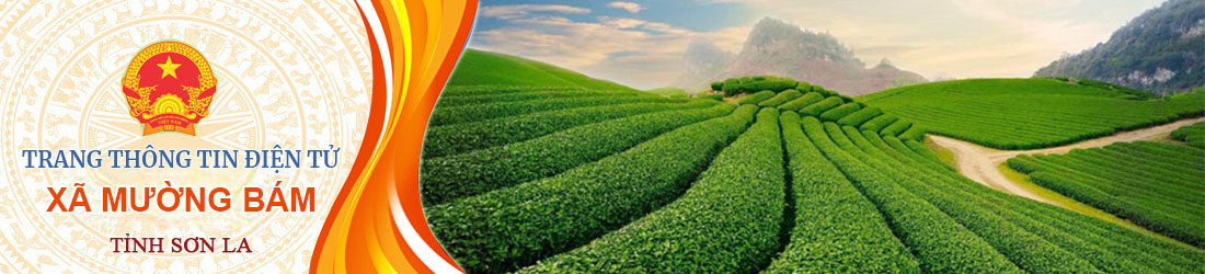 image banner